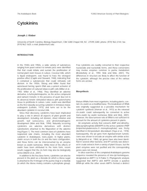 Cover of kieber