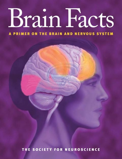 Cover of **3539-00 BRAIN FACTS.LYT