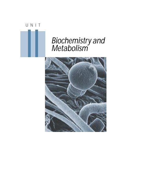 Cover of Ch 07