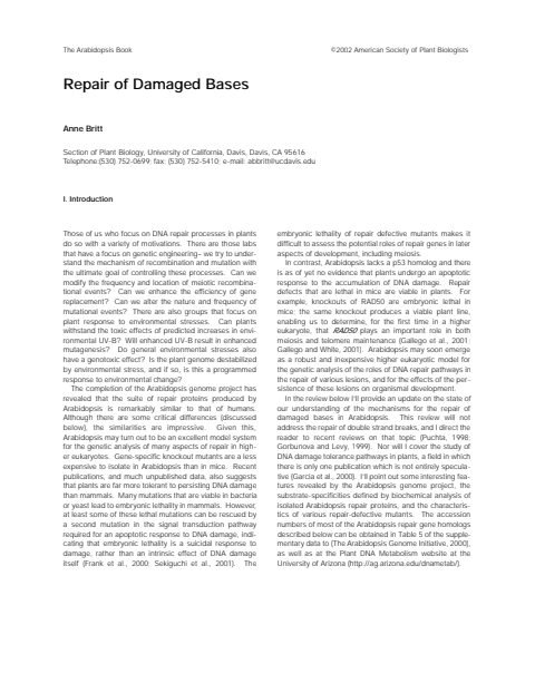 Cover of britt