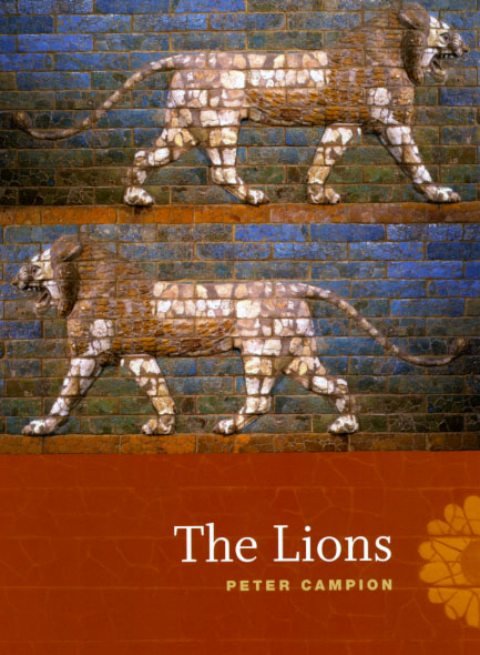 Cover of The Lions