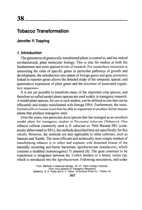 Cover of Ch 38